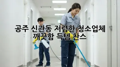공주 신관동 저렴한 청소업체 ✨ 깨끗함 득템 찬스!