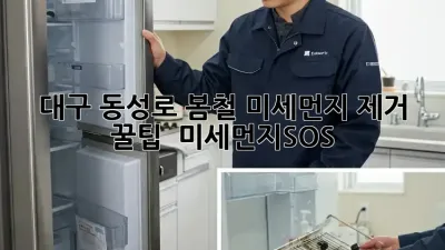 대구 동성로 봄철 미세먼지 제거 꿀팁 🌸 #미세먼지SOS
